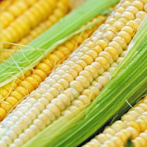 corn, corn on the cob, piston