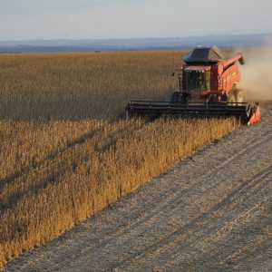 soy, combine, harvest