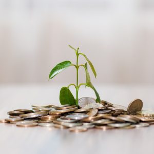 money, coins, finance